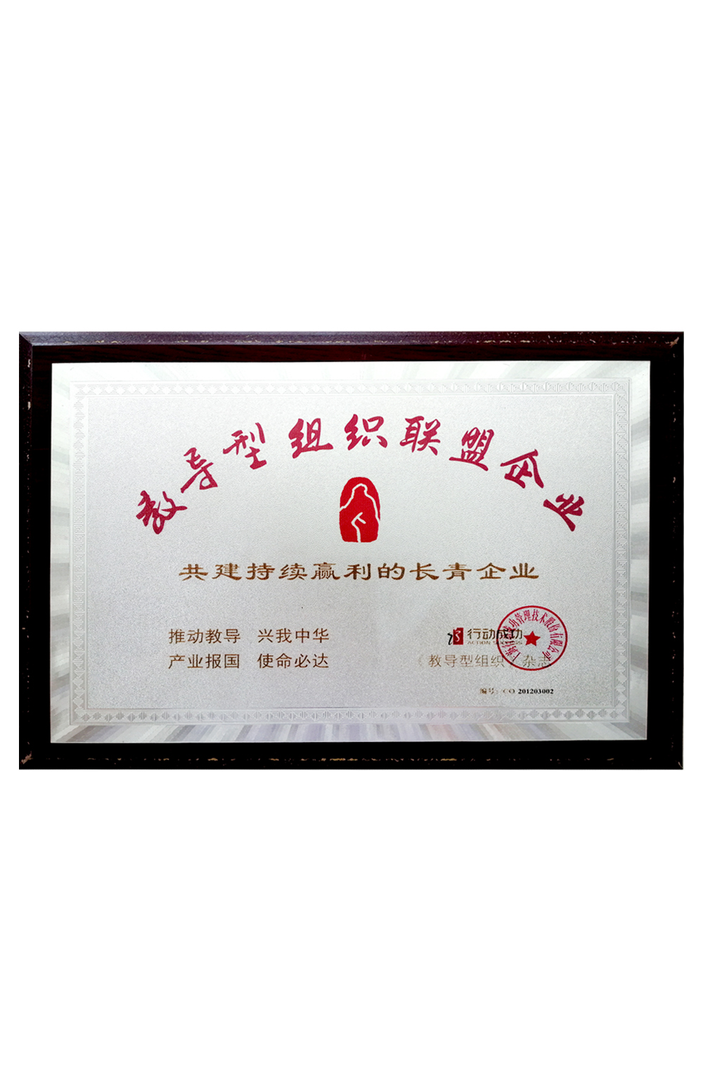 教導型組織聯盟企業