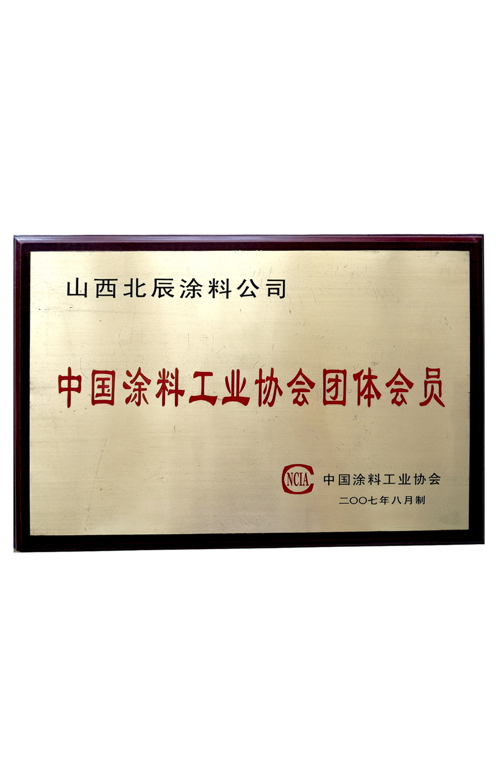 中國涂料工業協會團體會員 