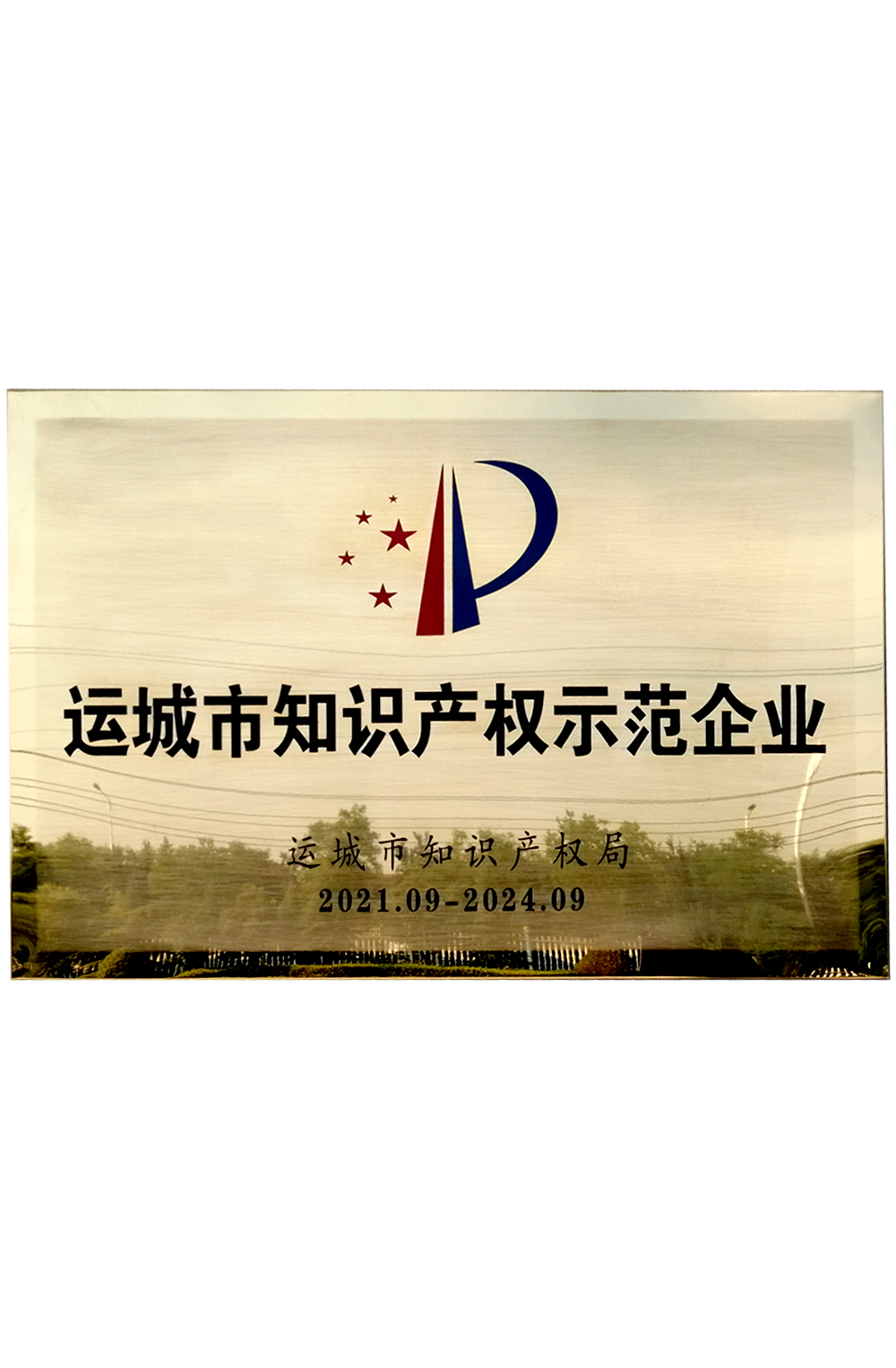 運城市知識產權示范企業